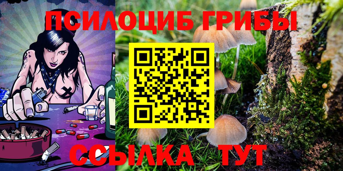 Псилоцибиновые грибы Psilocybine cubensis  Вход с VPN  Сланцы 