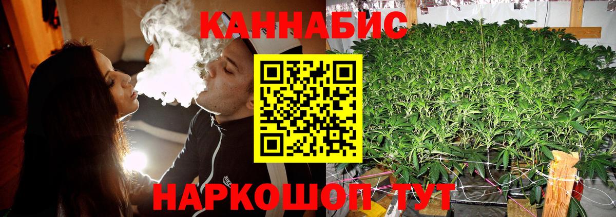 Шишки марихуана AK-47 Сланцы